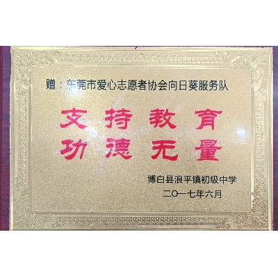东莞市向日葵助学服务队-博白县浪平镇初级中学